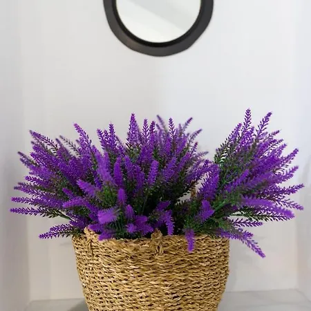 Apartment Casa Cuatro Soles *