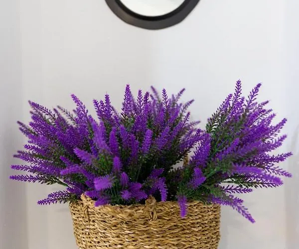 Διαμέρισμα Casa Cuatro Soles *